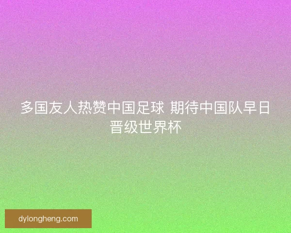 多国友人热赞中国足球 期待中国队早日晋级世界杯