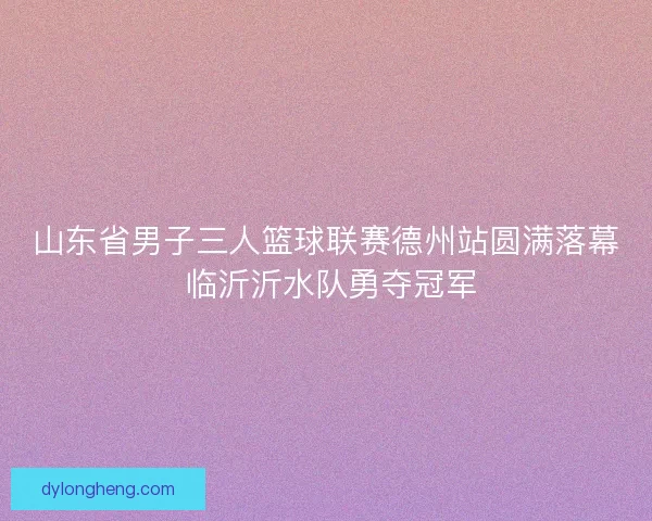 山东省男子三人篮球联赛德州站圆满落幕 临沂沂水队勇夺冠军